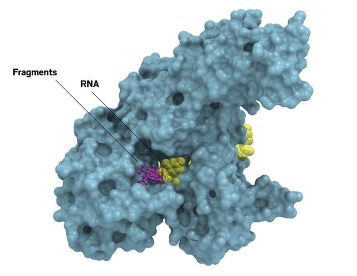 RNA binding site on the NSP13 helicase protein